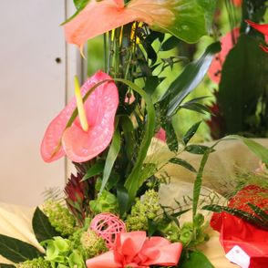 Blumen Luser-Grosch