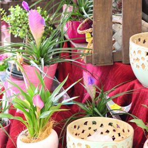 Blumen Luser-Grosch